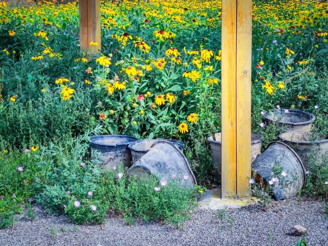 在济南花式避暑,一见“清”心!只需一瞥,便足以把酷夏原谅…