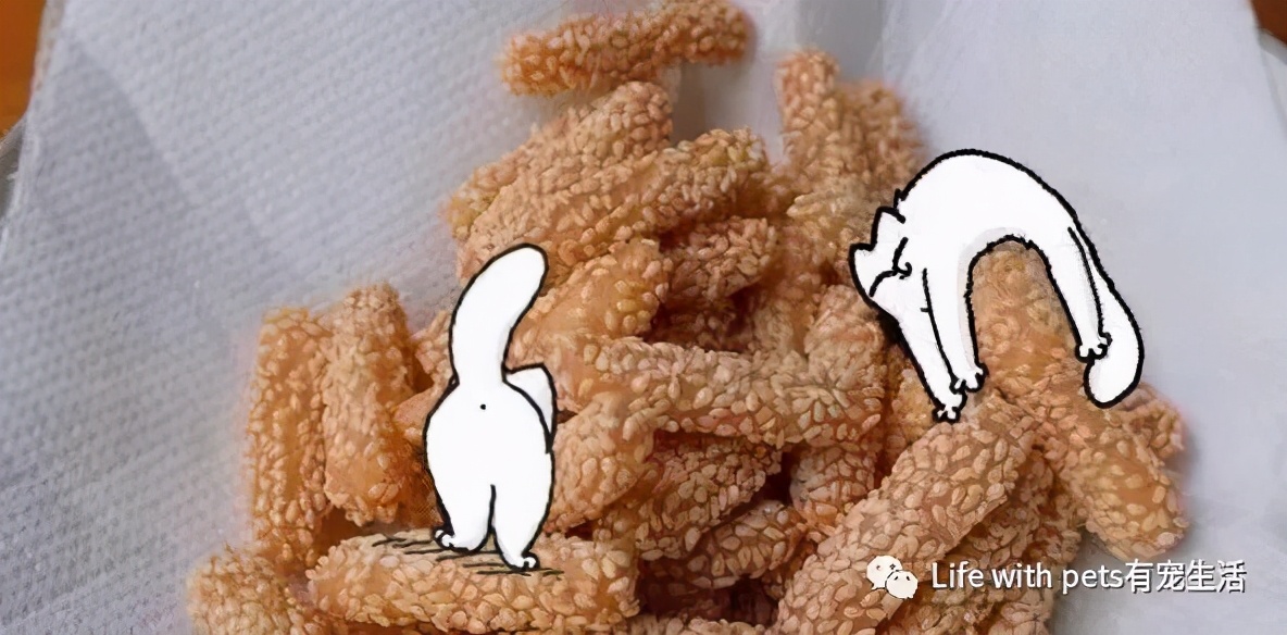 猫咪拉屎科普,猫咪屁屁的知识