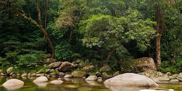 身份证410、411、412开头的,去了郑州就等于去了全世界