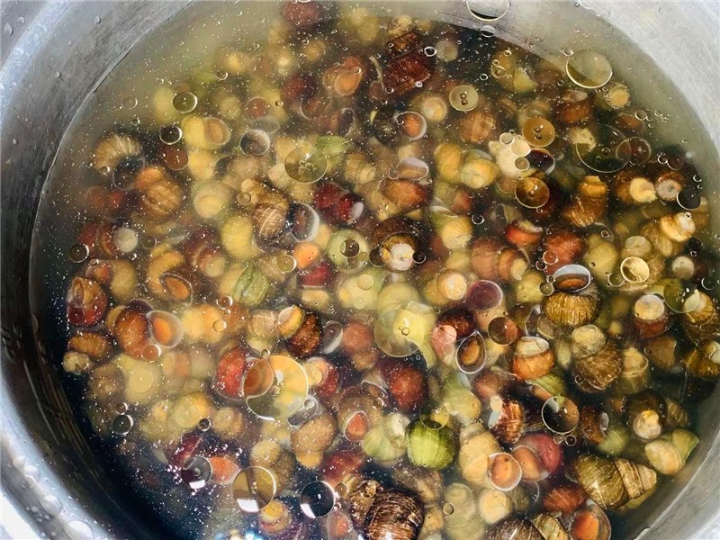 洗田螺都是粘液,洗田螺为什么要放油