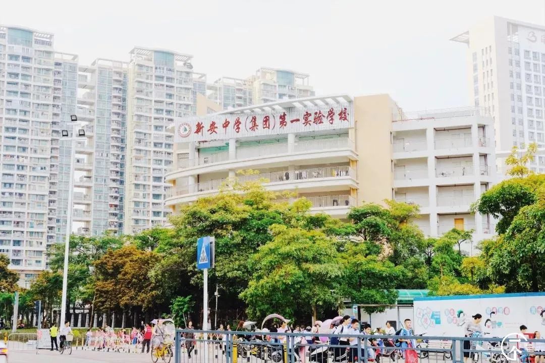 2000万在深圳能买到别墅吗,2000能在深圳租到怎样的房子