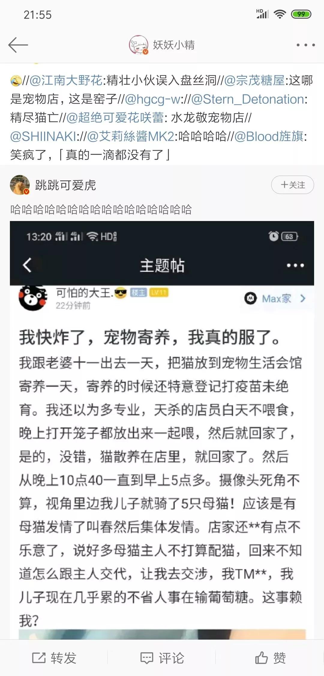 外出旅游猫咪如何安排,家有猫咪外出旅游怎么办