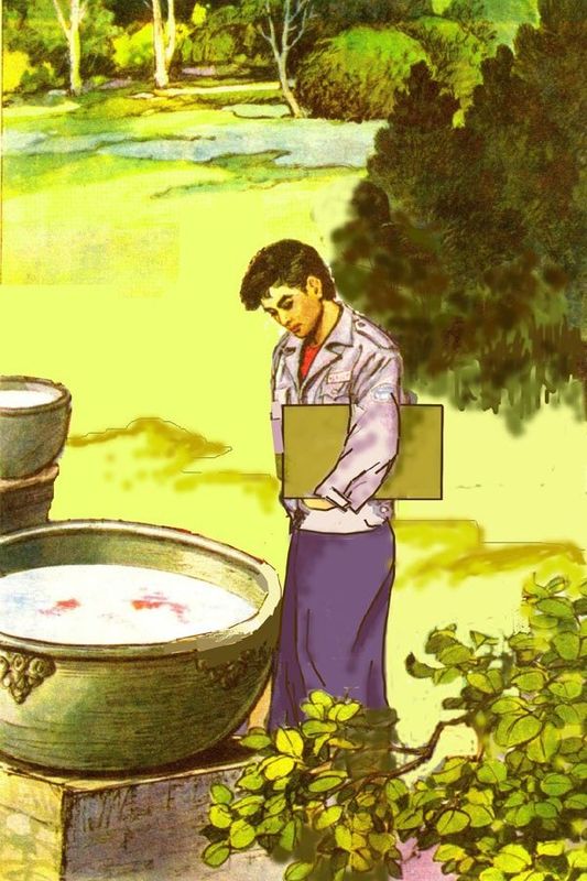 令人印象深刻的小学语文,不同年代的小学课文插图