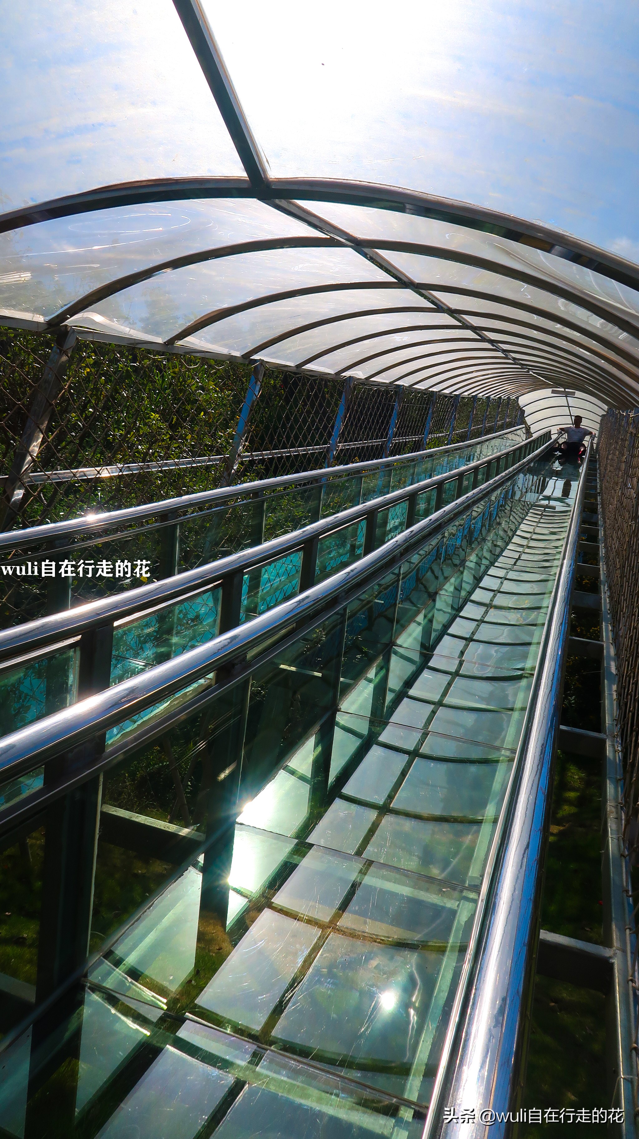 漳州长泰十里蓝山攻略,长泰县十里蓝山