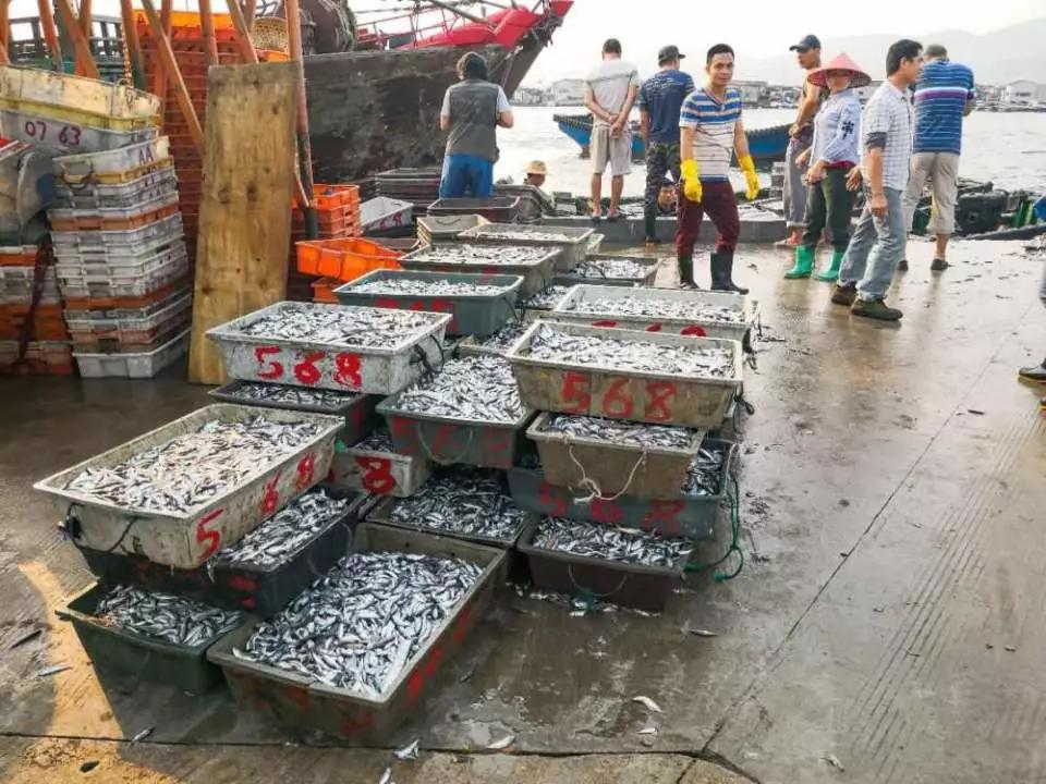 海南最大的渔港码头,在海南岛最霸气的渔港码头