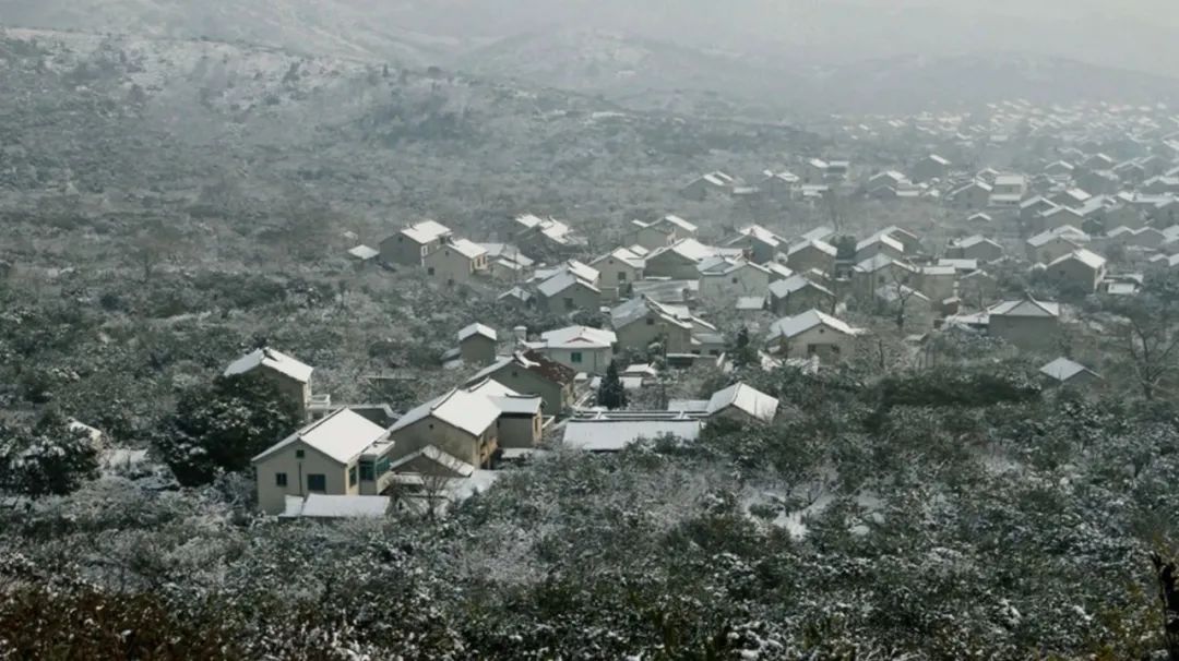 苏州西山十大知名农家乐有哪些,带你走一走苏州的太湖边农家乐