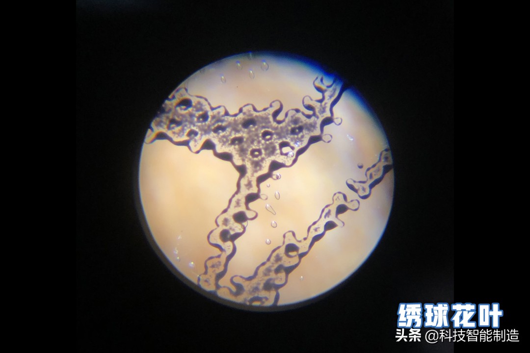 显微镜的价格最便宜的,日本口袋放大120倍显微镜