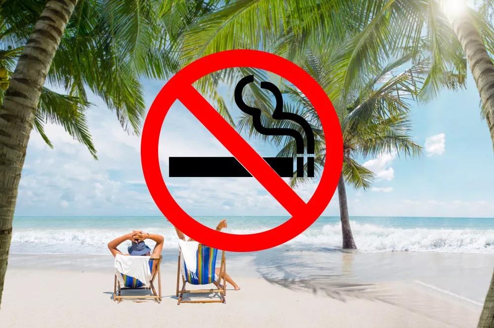 泰国酒店为什么不让带榴莲,为什么泰国酒店不让带榴莲