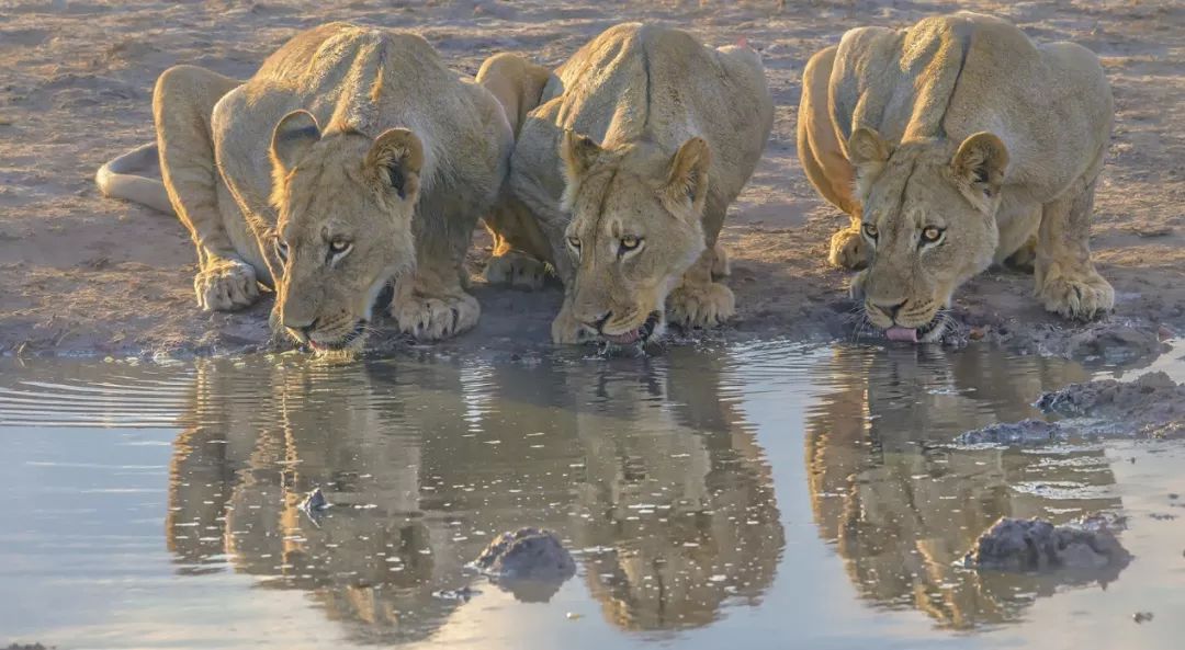 摄影师杰夫专访：Z系列微单相机轻便可靠，让野外拍摄更加放心