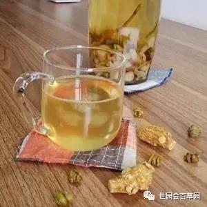 百草记|麦冬：集美貌与功效于一身的神奇中药
