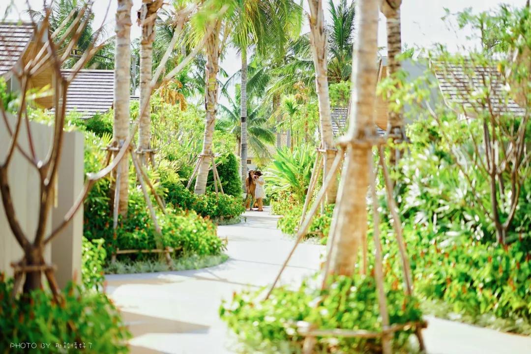 苏梅岛南查汶海滩因皮亚纳度假村,七天海岛度假游攻略