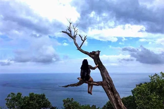 丁克裸辞,30岁裸辞53天