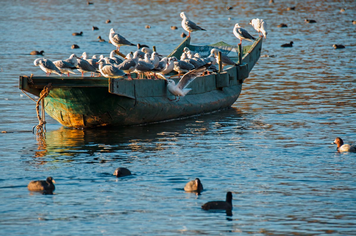 泸沽湖唯美视频,泸沽湖美到窒息