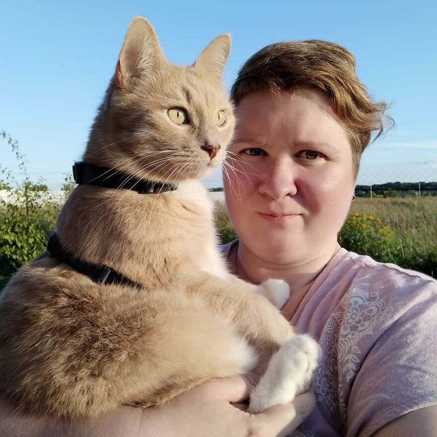 关于猫的13个误解，其中一些可能会让你大吃一惊