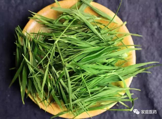 适合夏天全家老小上火喝的茶,炎炎夏日喝这几款茶消暑