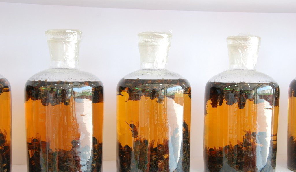 喝补肾壮阳药酒可以喝茶水吗,泡药酒补肾壮阳的药酒配方