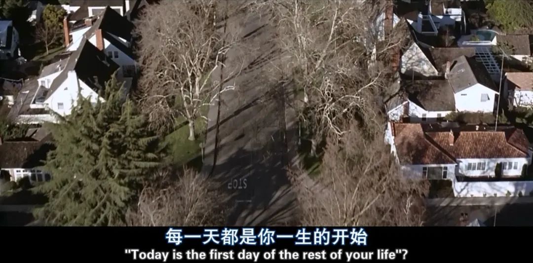 美国丽人事件,美国丽人的深层含义