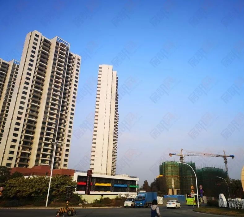 中正道和集团有限公司,中正道和吴培强