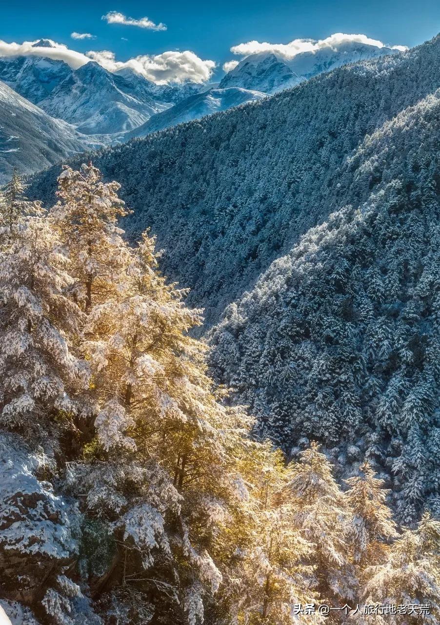 忽然想去自驾游了,想去川西看星空