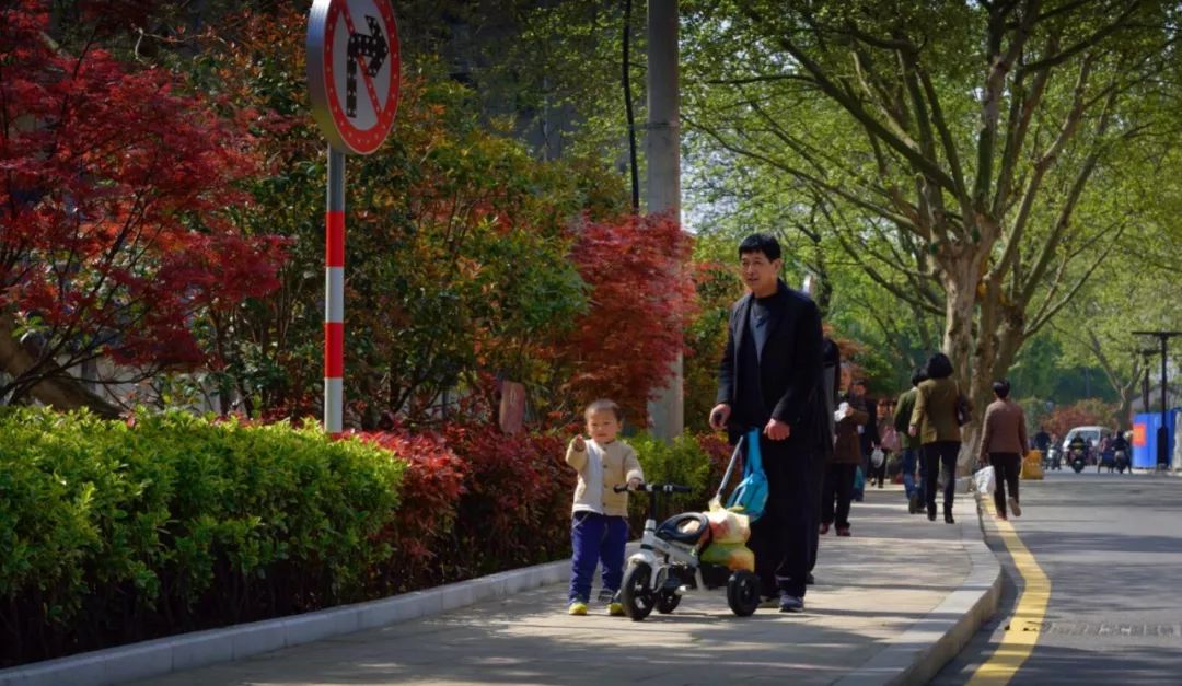 南京迈皋桥北延,南京迈皋桥进展
