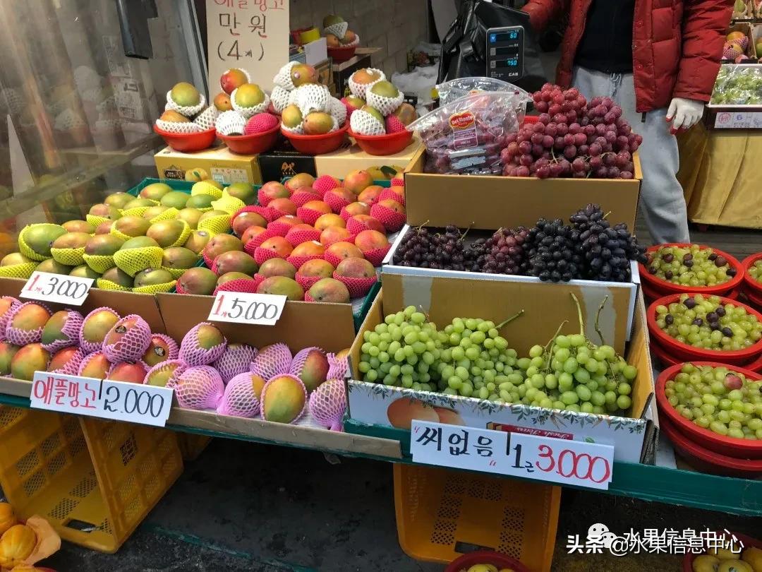 韩国的蔬菜水果批发市场,韩国最便宜的苹果水果