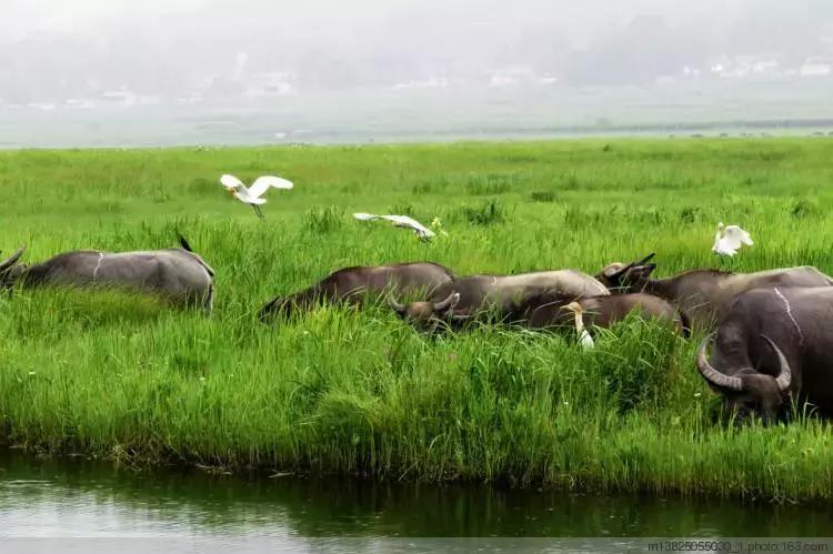 昆明大理腾冲瑞丽芒市六日游,瑞丽芒市腾冲四飞六日游