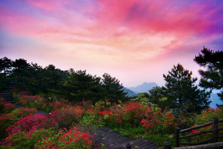 龟峰山天下第一龟照片,这座山长得像什么