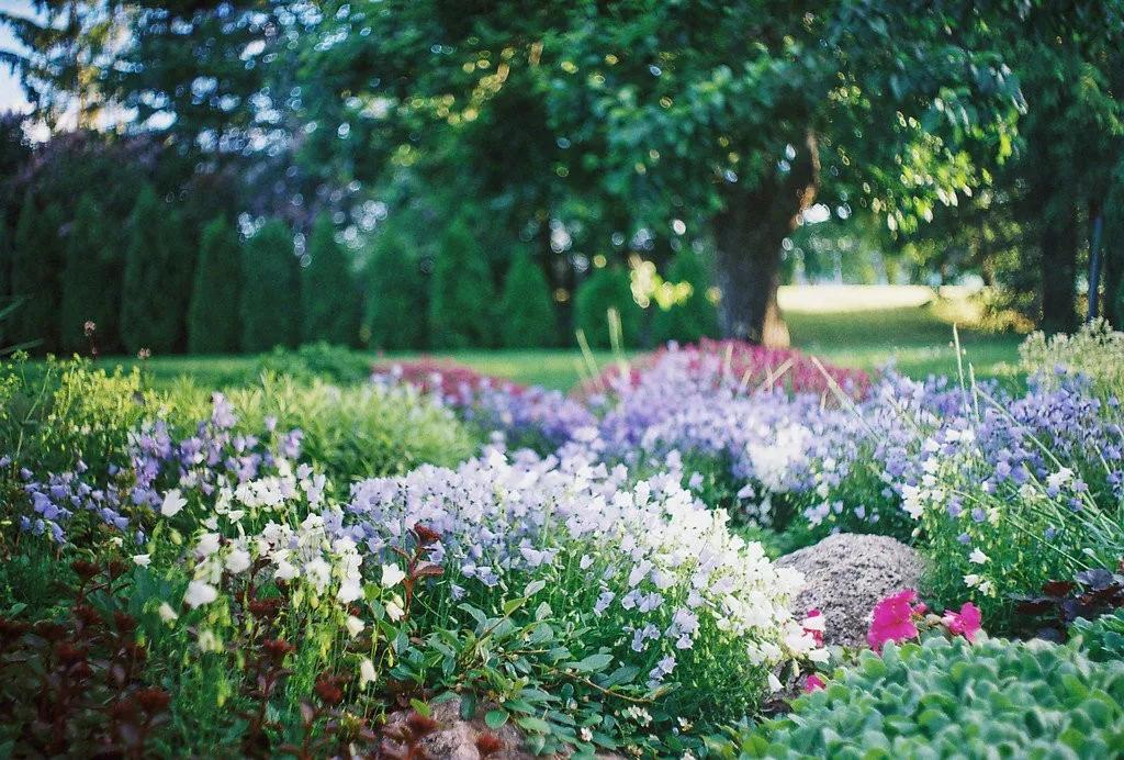 一年四季光阴流转的诗句,诗词陪我们走过人生的四季