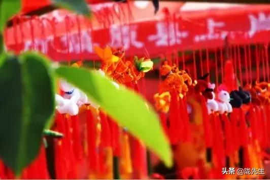 今天庆阳的大事,庆阳最近新闻