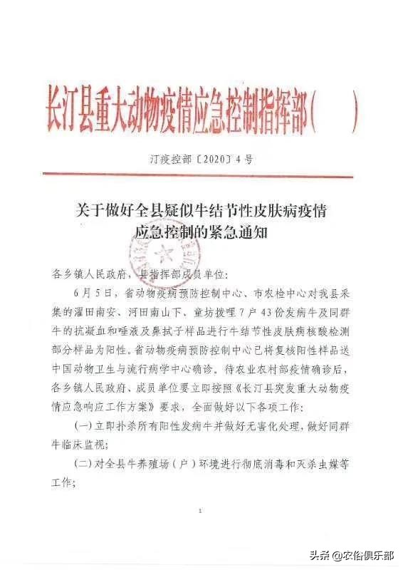 多省爆发牛皮肤病，三伏天不建议买牛，这些建议值得养牛人借鉴