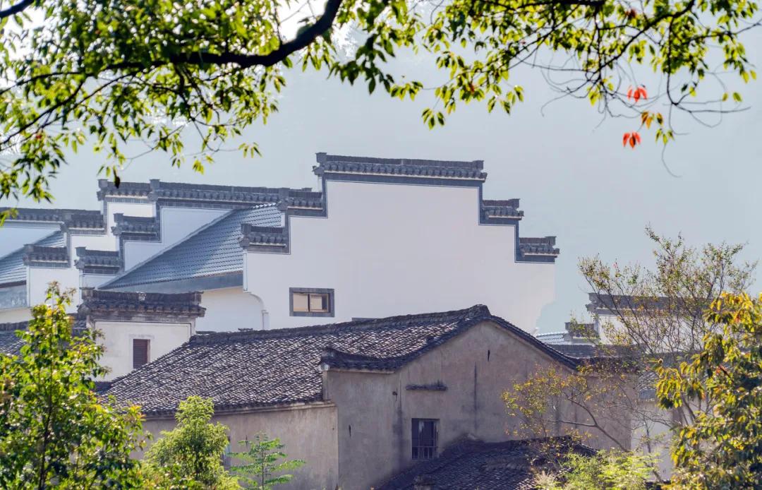 安徽春天美丽的视频,安徽美丽的春天