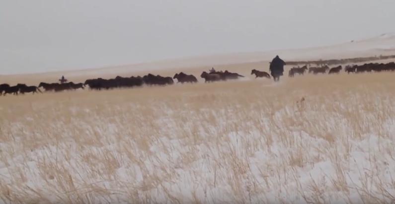 狄龙拍过的武侠电影,狄龙1971电影