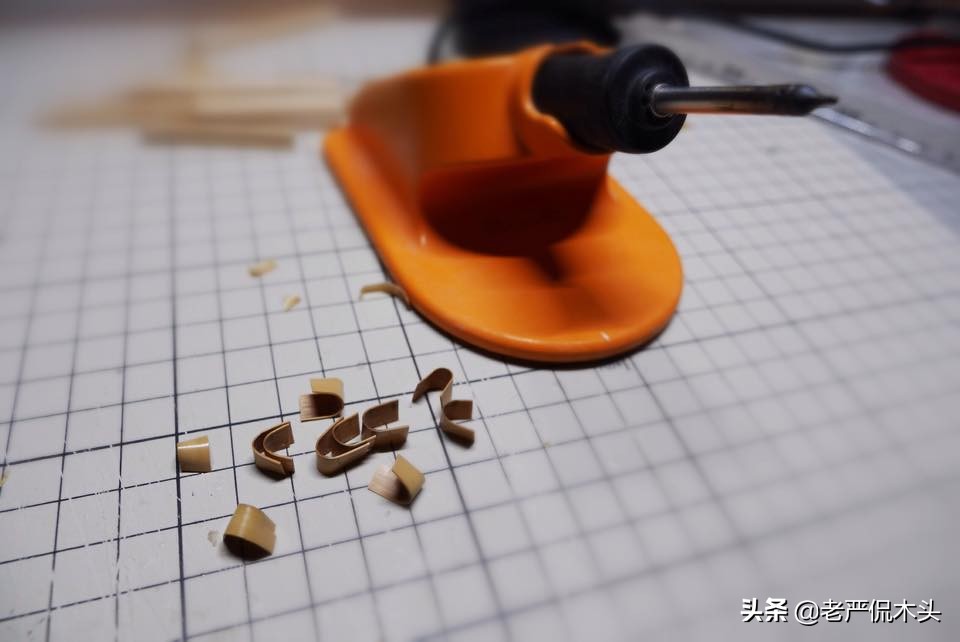 昆虫标本树脂竹节虫,昆虫标本制作竹节虫