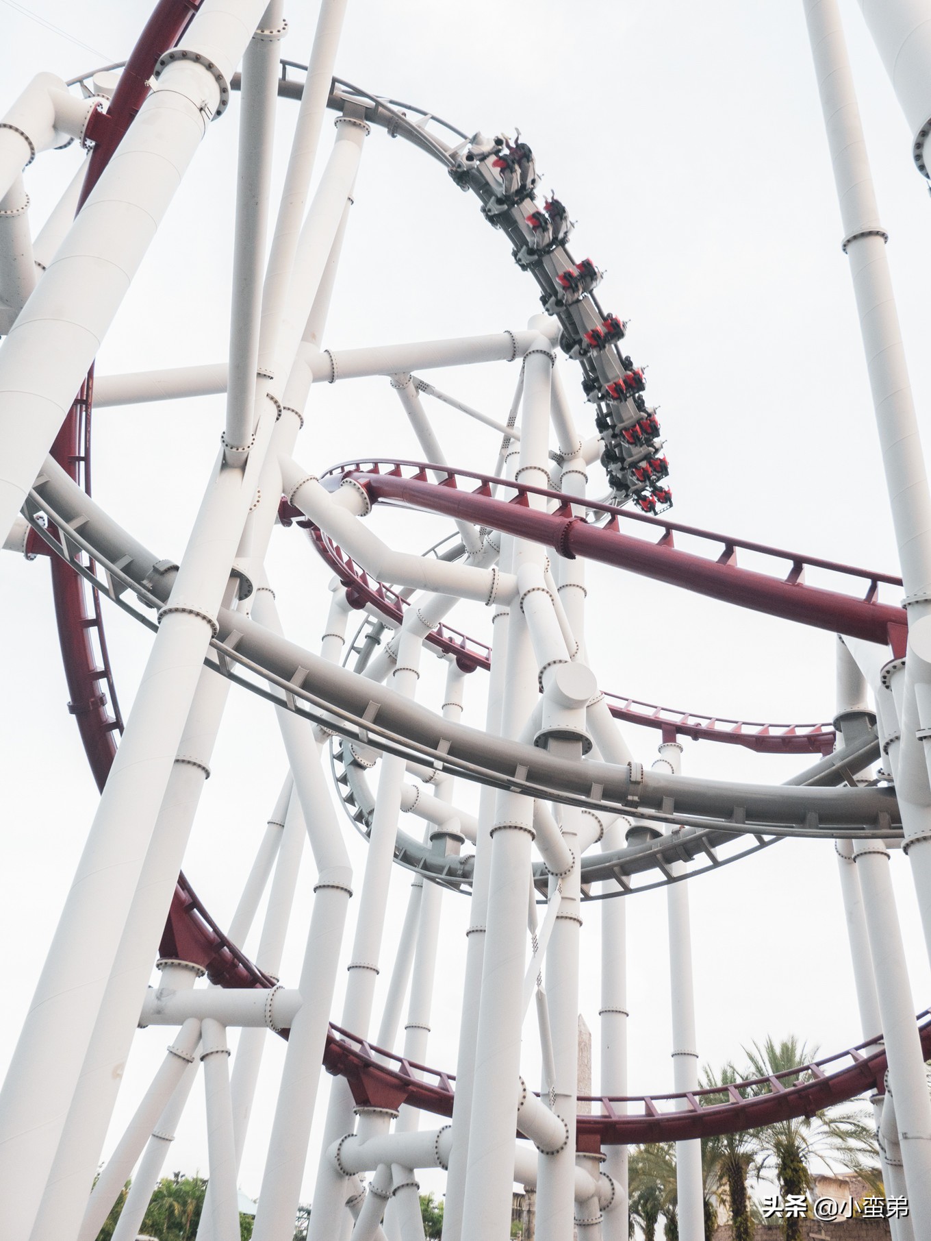 5年之许,小白逆袭重返新加坡