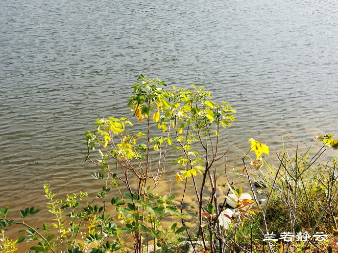 德化九仙山住宿推荐,德化九仙山风景区旅游攻略