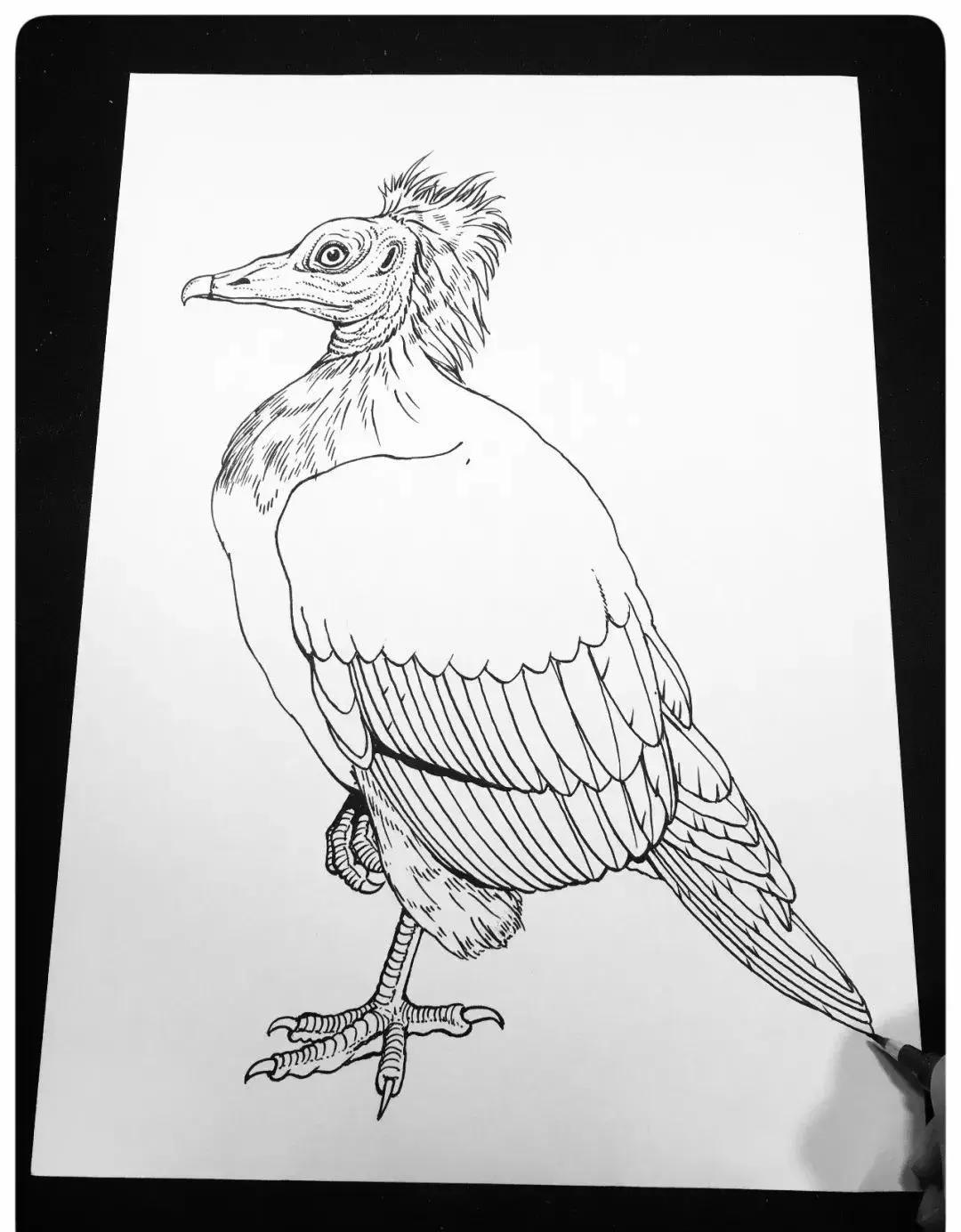 最简单的针管笔,如何练好针管笔