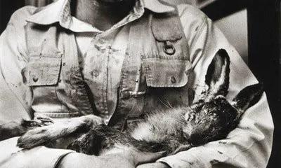 行为艺术家深度解析,行为艺术专家讲的什么