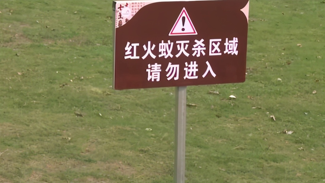 红火蚁侵入时的毒性是什么程度,红火蚁已入侵12省份专家支招