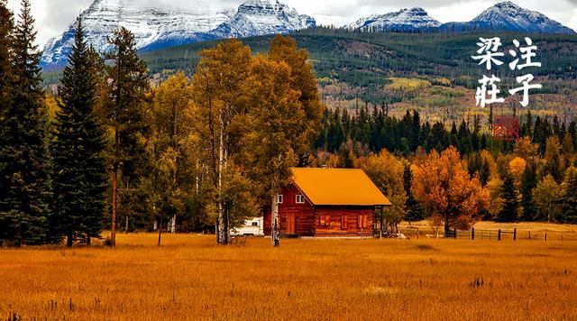 梁冬关于睡眠的视频,关于梁冬睡眠的话题