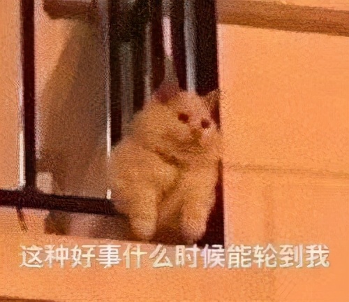 你理解的数据分析师工作是怎样的,一个数据分析师的职业规划