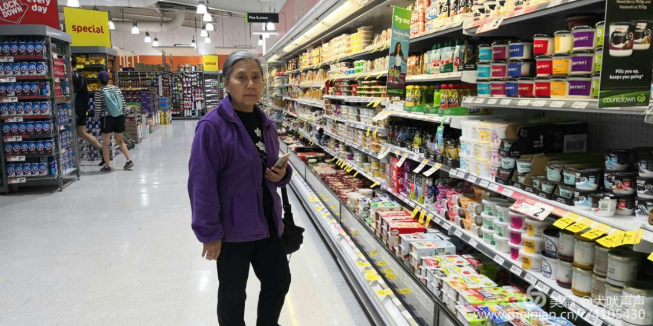 花甲后的新西兰自驾之旅（一）