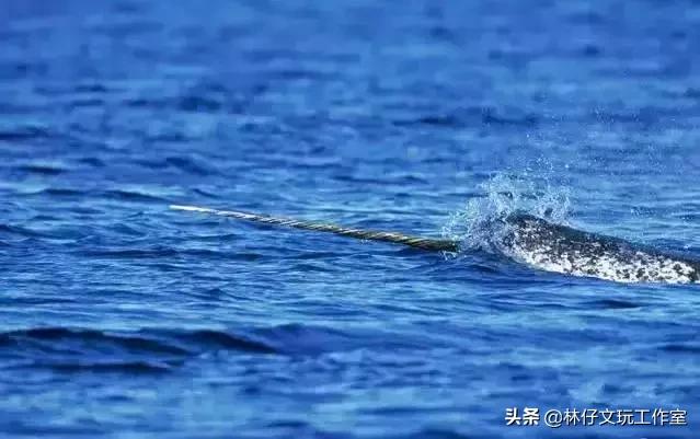 冷门文玩类宝石有哪些,这六种文玩千万不要碰