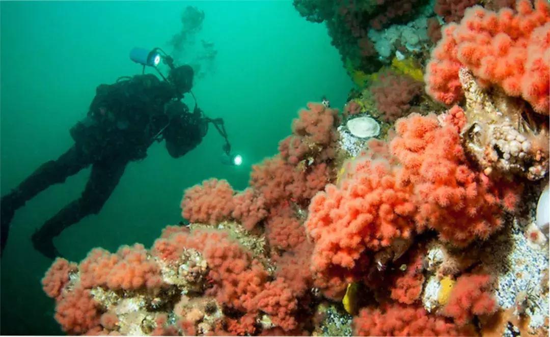 温哥华，超出你期待的钓鱼圣地