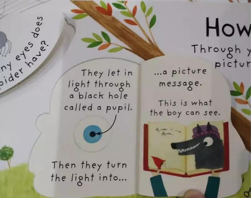 来聊聊总有一天要读的Non-fiction，怎么读，读什么...