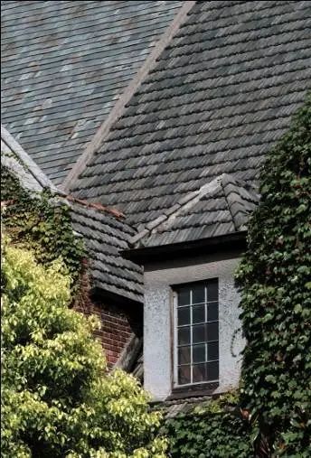 徐汇文化历史遗址,徐汇文脉深度解析