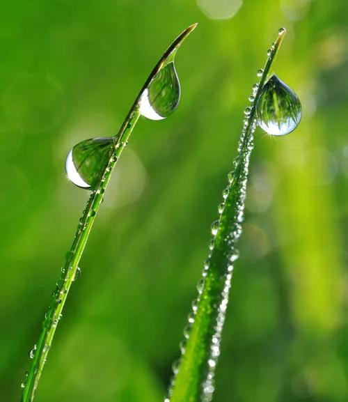 在请战书上签字,签订请战书和遗书