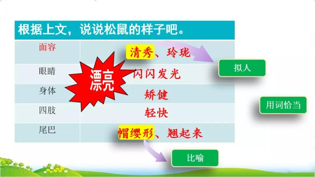 五年级语文第17课松鼠讲解,五年级上册第17课松鼠教材详解