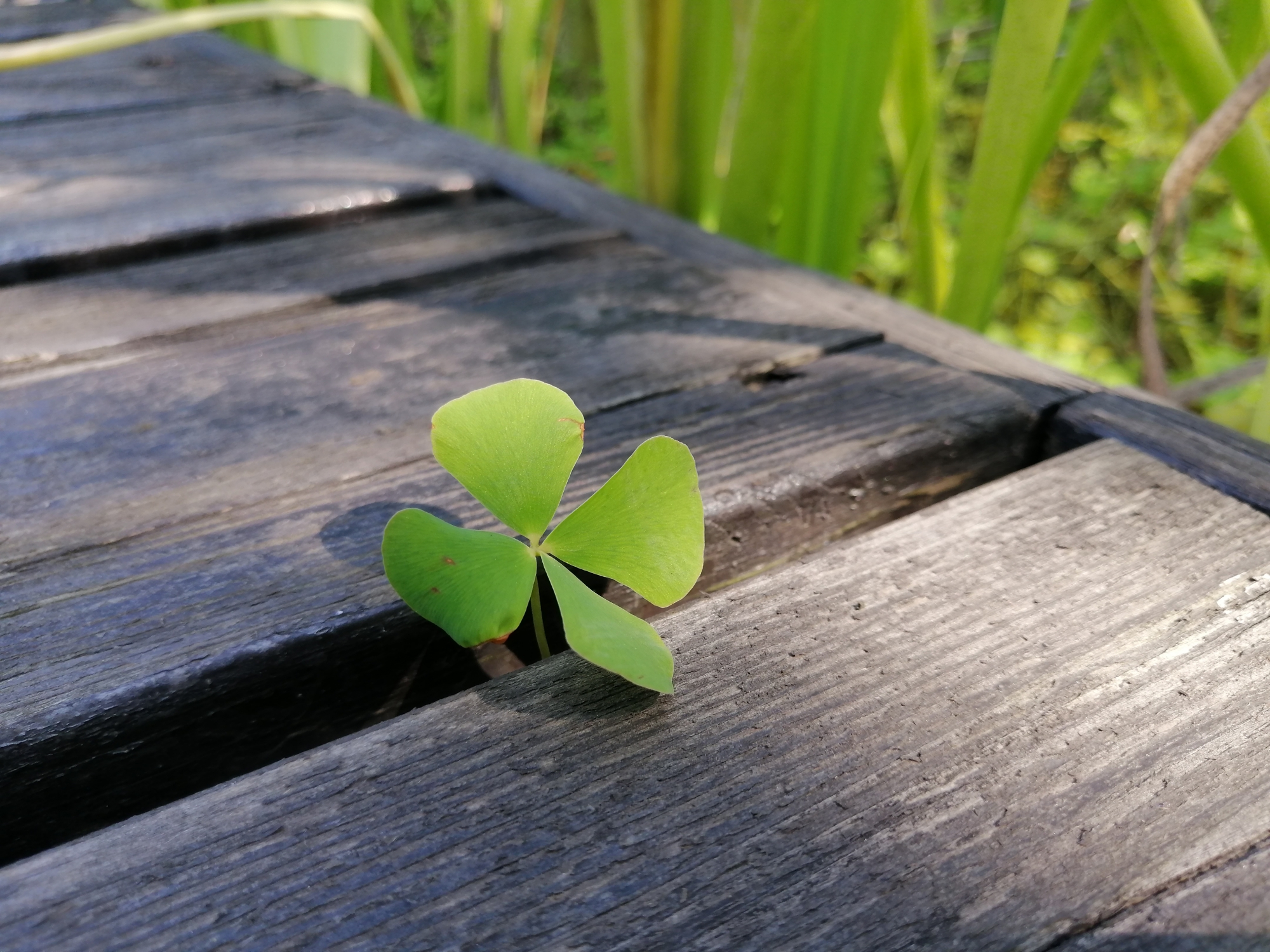 华为麦芒8测评视频,无畏前行3