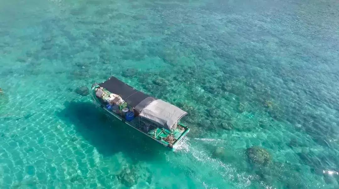 斯里兰卡海岛和马尔代夫,马代平价岛屿