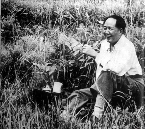 厨师韩阿富:炒毛*东泽**鱿鱼,为毛*东泽**烧菜23年,否认自己是名厨